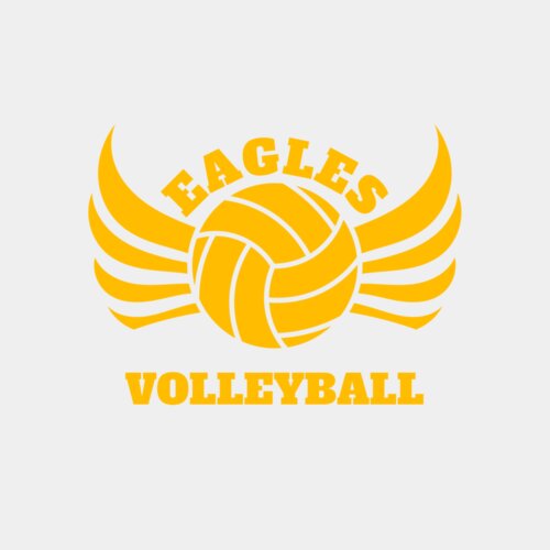Volleyball 11 Thumbnail