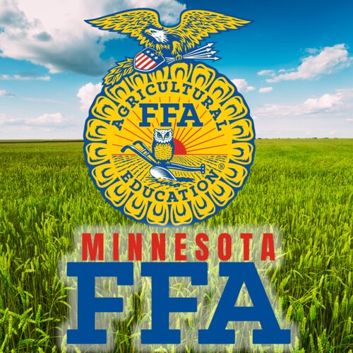 FFA STICKER Thumbnail