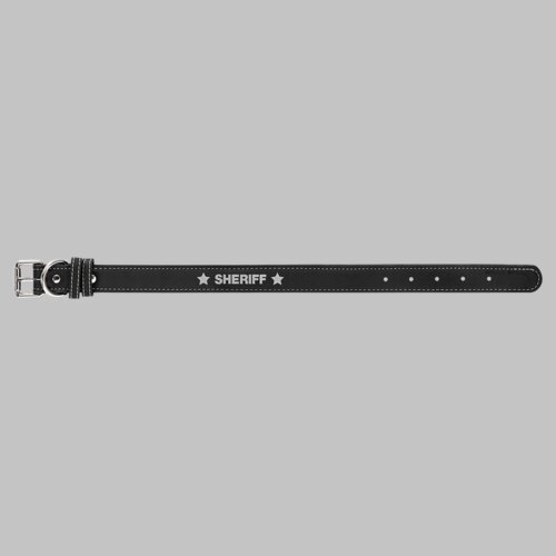 Personalized Leatherette Dog Collar - Small Thumbnail
