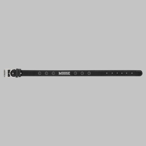 Personalized Leatherette Dog Collar - Extra Large Thumbnail