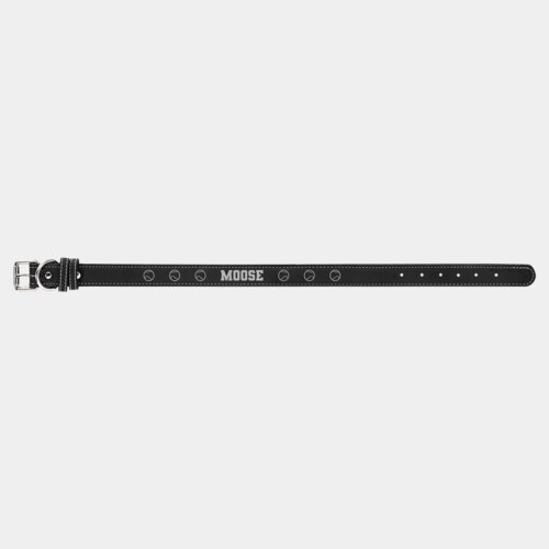Personalized Leatherette Dog Collar - Extra Large Thumbnail