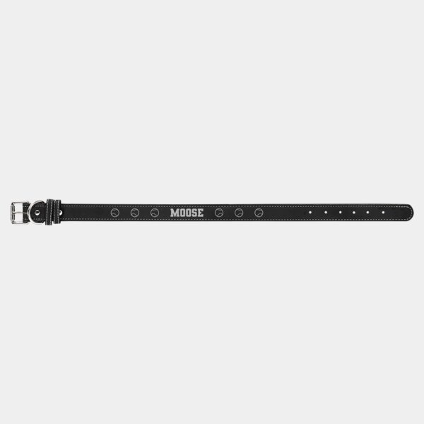 Personalized Leatherette Dog Collar - Extra Large Thumbnail