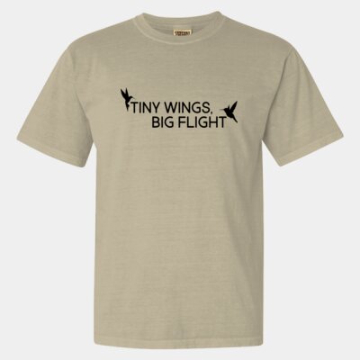 Tiny Wings, Big Flight Thumbnail