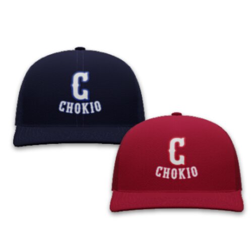 Chokio Embroidered Hat Thumbnail