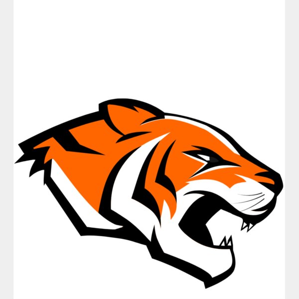 Morris Area Tigers all white words Thumbnail