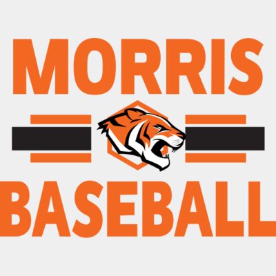 Tiger Baseball Number Thumbnail