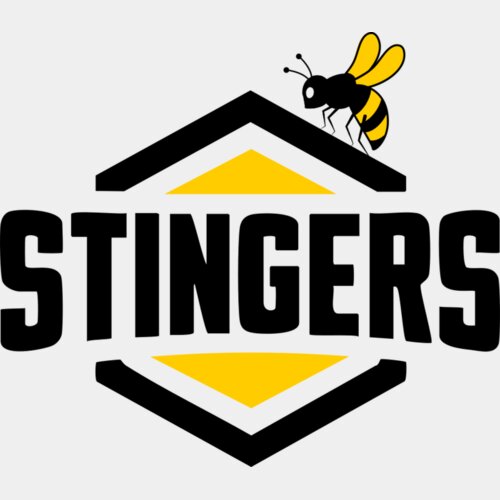 Stingers Logo Thumbnail