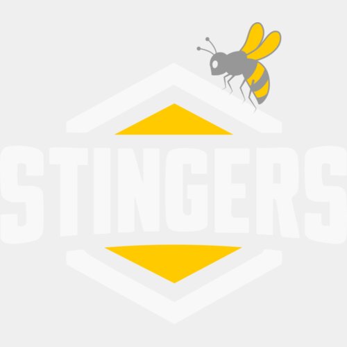 Stingers Softball WHITE COLOR Thumbnail