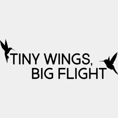 Tiny Wings, Big Flight Thumbnail
