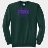 Core Fleece Crewneck Sweatshirt Thumbnail